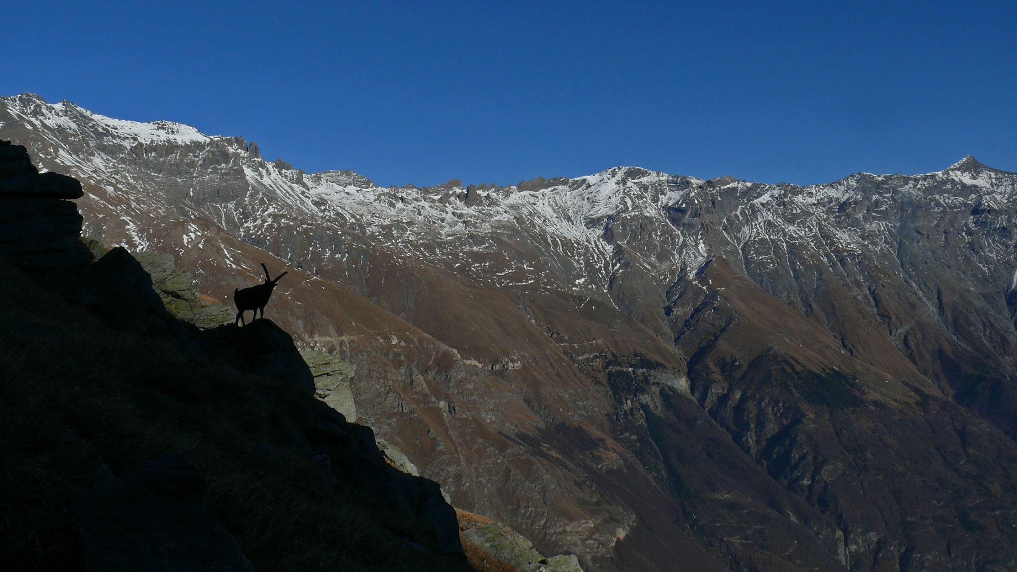 Monte Giusalet Laboratorio Alte Valli